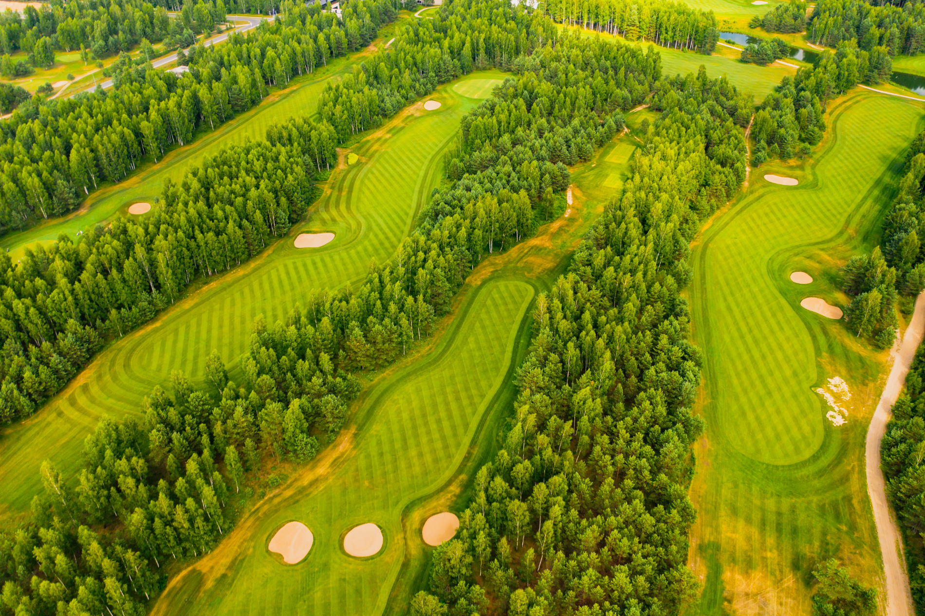 Top view of a golf course surrounded by trees
